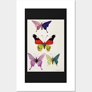 4 PRETTY BUTTERFLIES Posters and Art